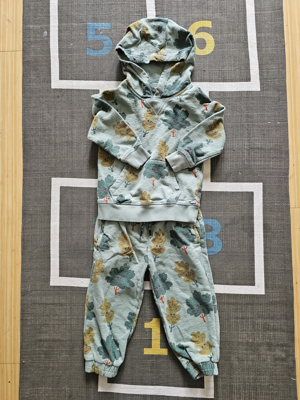 Mini Boden Hoodie And Sweatpant Set